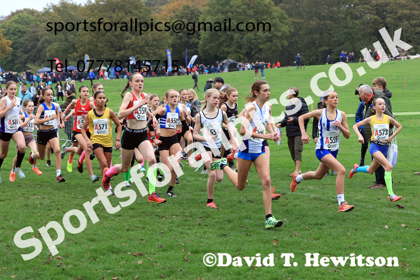 Girls Under-13s relay, 2025 Northern Cross Country Relays, Graves Park, Sheffield. Photo: David T. Hewitson/Sports for All Pics